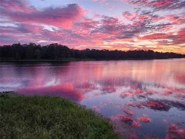 3401 E SLIGH AVE #E Sligh Ave photo