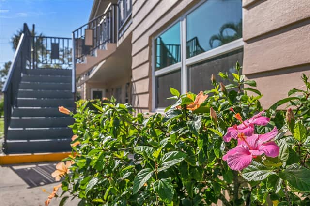 216 36TH AVE N #202B photo