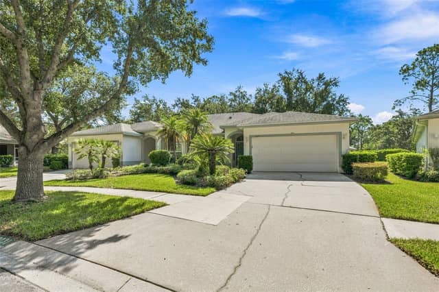 19031 CALLAWAY CT photo