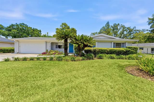 10603 ORANGE GROVE DR photo