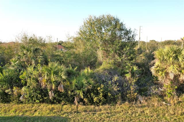 12266 NEWGATE AVE photo
