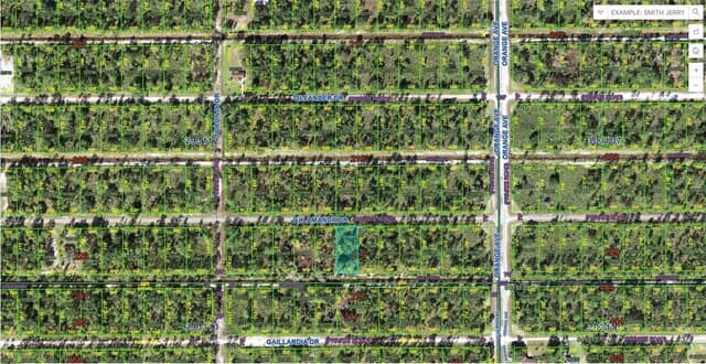 813 ALLAMANDA DR photo