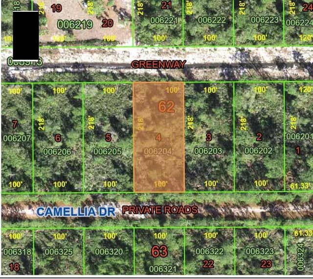 CAMELLIA DR photo