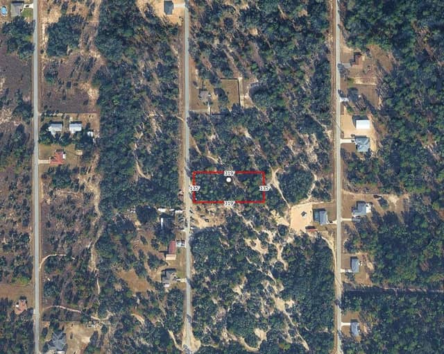 SW BEGONIA CT photo
