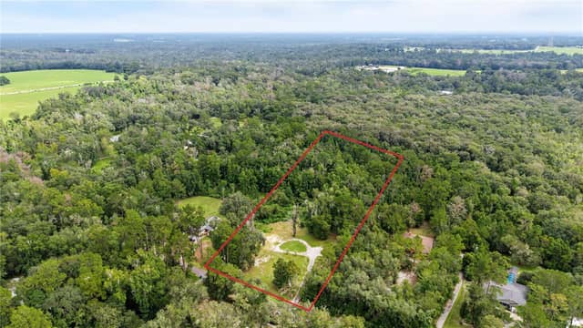 4250 BESSEMER ROAD photo