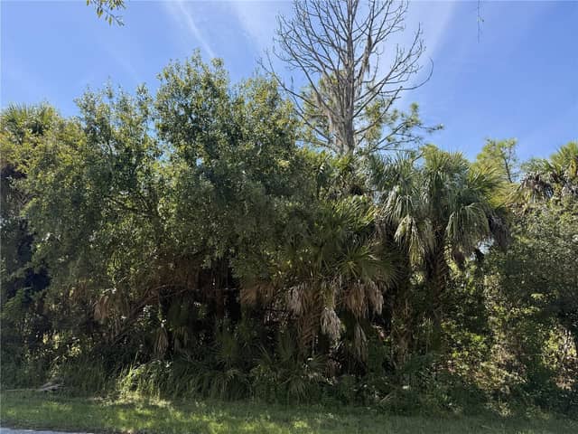LOT 16 WALMSLEY AVE photo